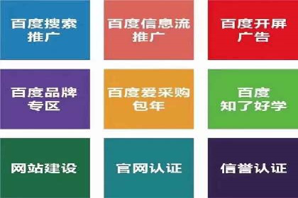 深入剖析SEM公司成功案例：数据驱动的广告策略